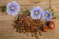Flax seeds, beauty flower and pills on woooden background