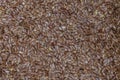 Flax seeds brown close up detail
