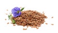 flax seeds with flower isolated on white background. flaxseed or linseed. Cereals. Royalty Free Stock Photo