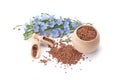Flax seeds and flowers Royalty Free Stock Photo