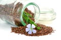 Flax seeds and flowers. Royalty Free Stock Photo