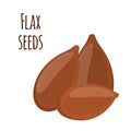 Flax seeds, linseed. Brown seed, organic vegetarian food. Cereal, crop.