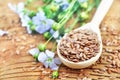 Flax seeds with linseed oil and blue linum flowers