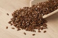 Flax seeds