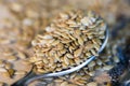 Flax seeds on spoon