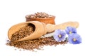 Flax seeds in the wooden bowl, wooden scoop and beauty flowers