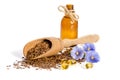 Flax seeds in the wooden scoop, bottle with oil and beauty flowers Royalty Free Stock Photo