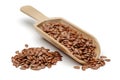 Flax seeds in wooden spoon