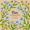 Flax vector frame