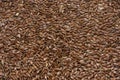 Flaxseed background texture Royalty Free Stock Photo