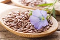 Flaxseed with its flower Royalty Free Stock Photo