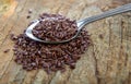Flaxseeds in spoon Royalty Free Stock Photo