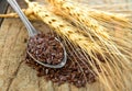 Flaxseeds in spoon Royalty Free Stock Photo