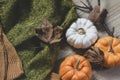 Flay lay autumn pumpkins with knitting sweater and dried leaves