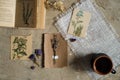 Flay lay, top view of the herbarium, dried lavender flowers, notebook, book for notes, pen and spring summer pictures on a concret Royalty Free Stock Photo