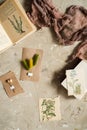 Flay lay, top view of the herbarium, dried lavender flowers, notebook, book for notes, pen and spring summer pictures on a concret Royalty Free Stock Photo