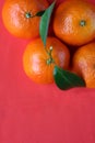 Flay lay view of fresh ripe mandarin oranges