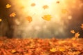 Flaying autumn maple leaves on blurred bright nature background. Fall mood