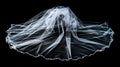 Flaying wedding white Bridal veil isolated on black background.