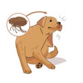 Flea Infested Dog. Scratch The Flea Bugs. Vector Illustration On A White Background. Flea Bugs Life.