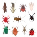 Flea Lice Tick Termite Bedbug Cockroach Spider Ladybug Cricket Mite Beetle Royalty Free Stock Photo