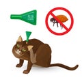 Flea remedy poster with headline and cat vector illustration