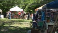 Flee Market Yard Sale in Senoia USA - SENOIA, USA - APRIL 23, 2016