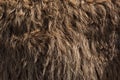 Fleece brown,Close up of fleece, exture background Royalty Free Stock Photo