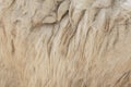 Fleece white,Close up of fleece, exture background Royalty Free Stock Photo