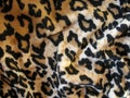 Fleecy brown leopard skin fabric (velor)) Royalty Free Stock Photo