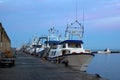 Fleet of fishing boats docked at the Santa Pola harbor at dawn Royalty Free Stock Photo