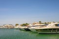 Fleet of large white boats are moored in a serene coastal bay, the sun glinting off their hulls