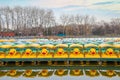 A fleet of sailing duck boats at Beihai Park Royalty Free Stock Photo