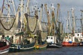 Fleet of Shrimp boats parade in the East Frisian North Sea port town. Royalty Free Stock Photo