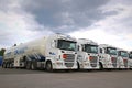 Fleet of White Scania Semi Tank Trucks