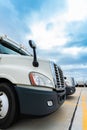 Fleet of white 18 wheeler semi trucks Royalty Free Stock Photo