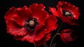 Fleeting Blossoms: A Captivating AI-Created Representation of Poppies