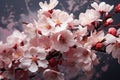 A fleeting moment of cherry blossom beauty captured in the wind, nature conservation photos