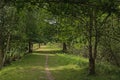 Hiking trail through the flemish countryside in Beernem Royalty Free Stock Photo