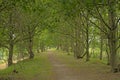Hiking trail through the flemish countryside in Beernem Royalty Free Stock Photo