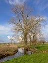 Flemish landscape with bare trees and a ditch Royalty Free Stock Photo