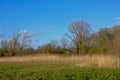 Flemish marshland landscape in the `Oude Kale` nature reserve