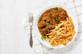 Flemish Stew, carbonnade, beef stew with fries