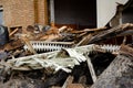 Flensburg Fahrensodde Burning Fire Airplane hanger view of debris, shut and ash and destroyed heater heating