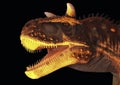 A Flesh Eating Carnotaurus Dinosaur in Yellow and Black