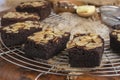 Fleshly baked almond brownies Royalty Free Stock Photo