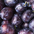 Fleshy plums Royalty Free Stock Photo