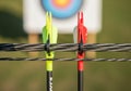 The fletchings are bright green and red, positioned against the taut Royalty Free Stock Photo
