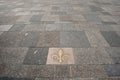 Fleur-de-Lis Tile - Montreal - Canada