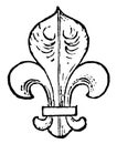 Fleur-de-Lis are used as a charge in heraldry, vintage engraving